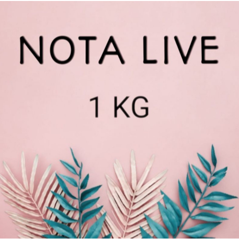 LIVE LINK NOTE CO DATE 29 AUGUST 2026