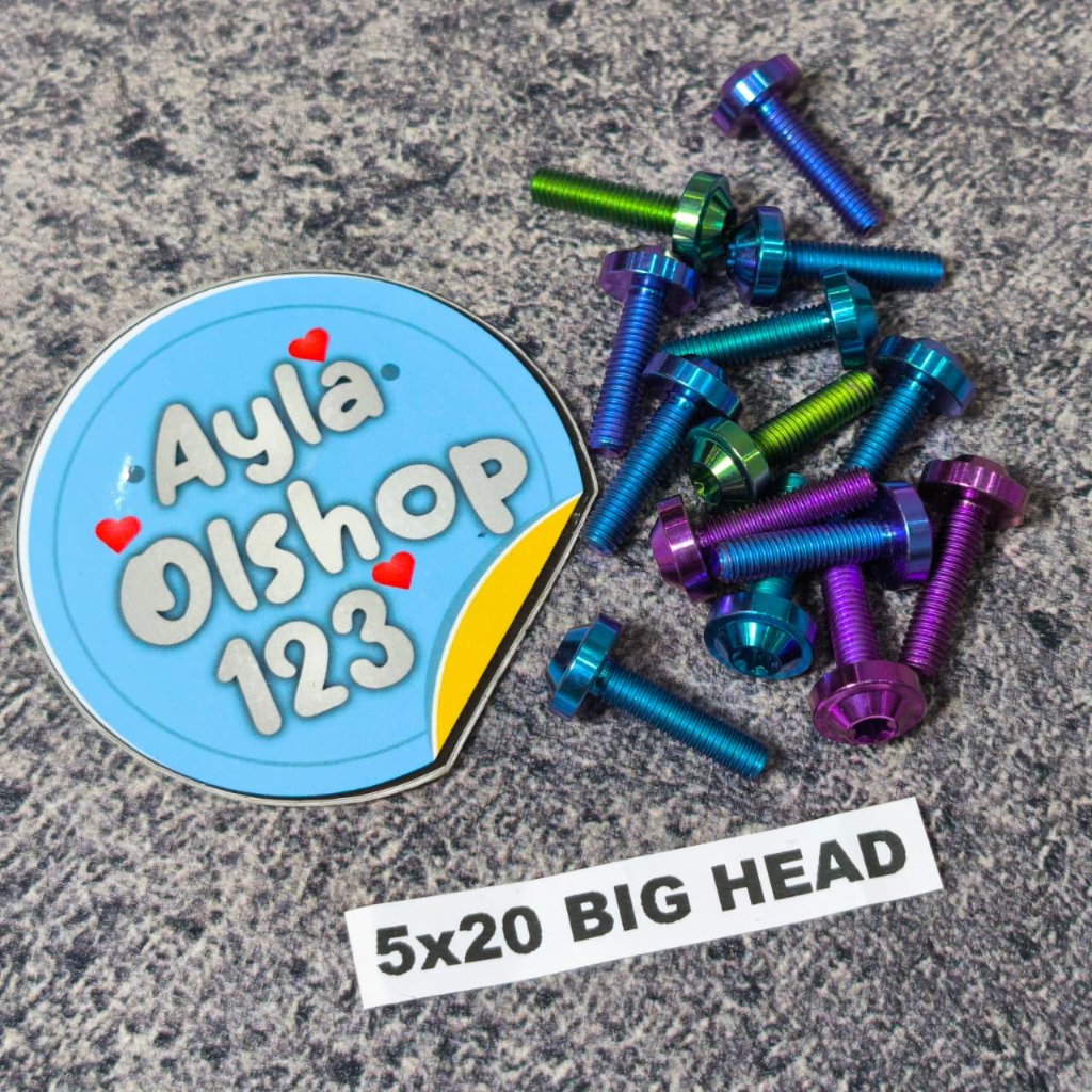 M5X20 BIGHEAD TITANIUM BOLT 8 THREAD 2CM LENGTH 8 THREAD TITANIUM BOLT