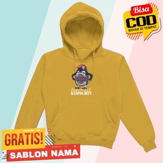 Anomaly Sigma Boy Kids Hoodie / Boys & Girls Jacket