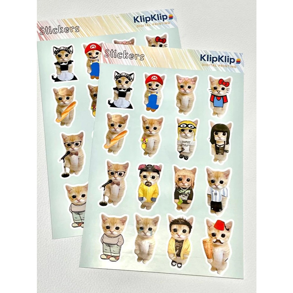 Cat Sticker Pack Meme Cute Dudl Sticker ขนาด 3.5 ซม. - N3D