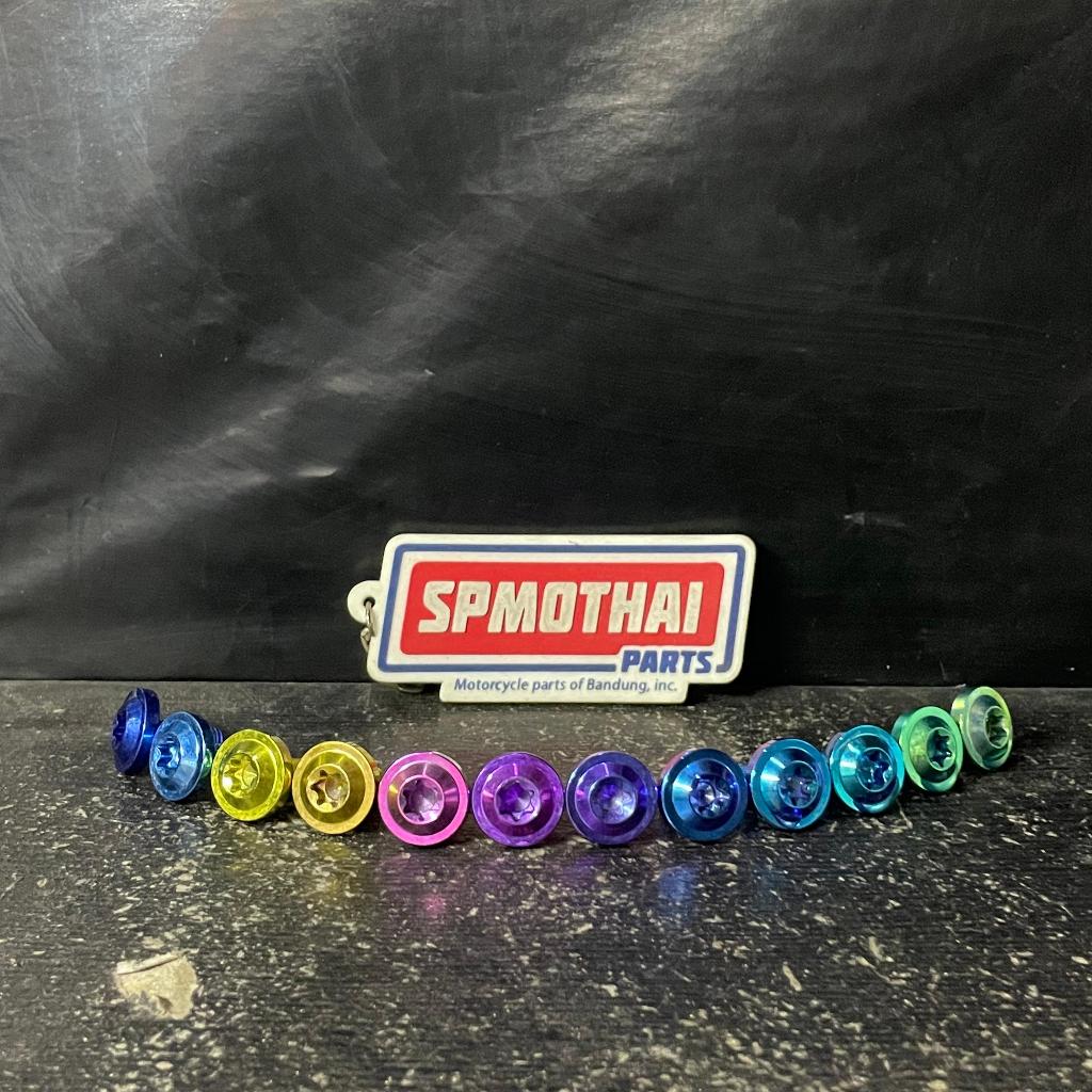 M6 BOLT / 10X15 TITANIUM BIGHEAD THREAD