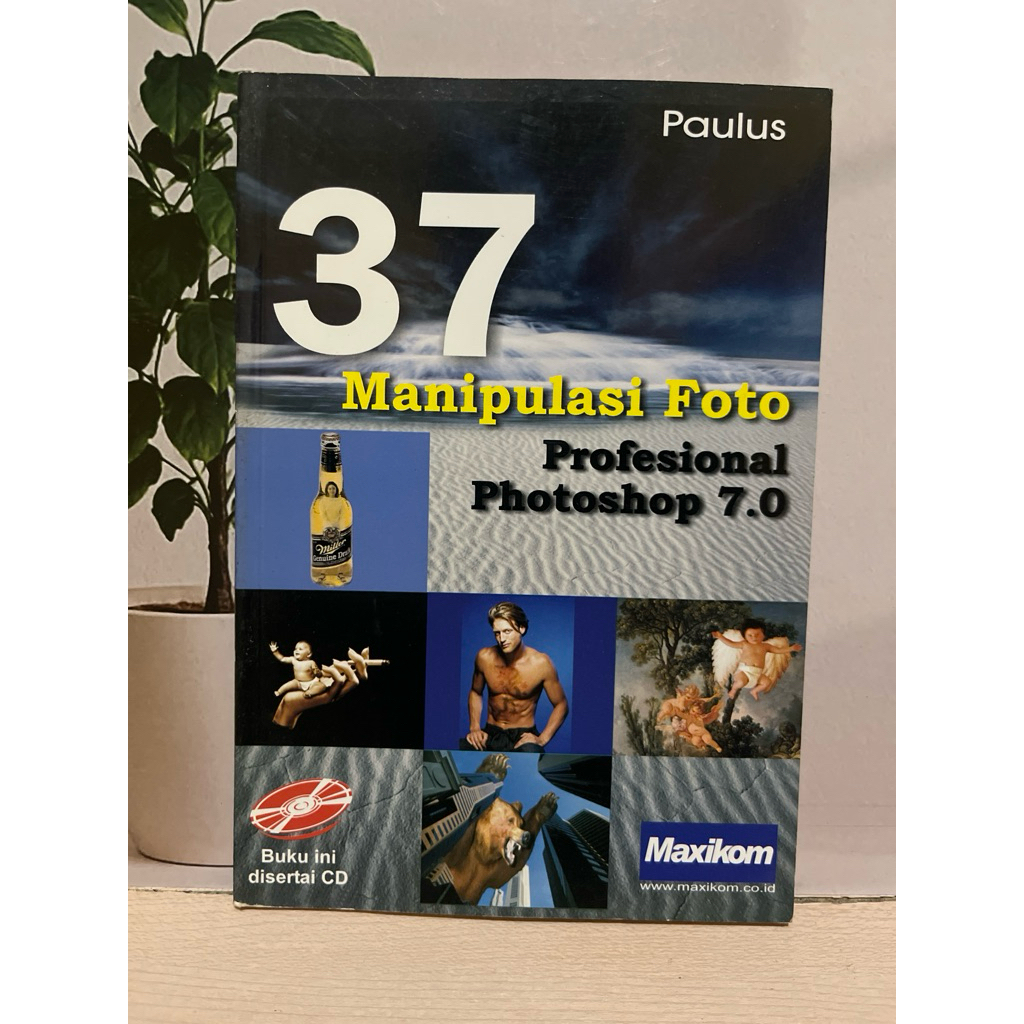 37 Professional Photo Manipion Photoshop 7.0