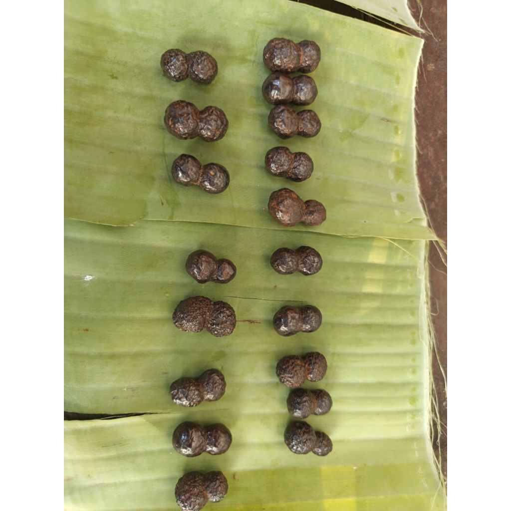 YG Original natural number 8 เม็ดหินหายจากจักรวาล