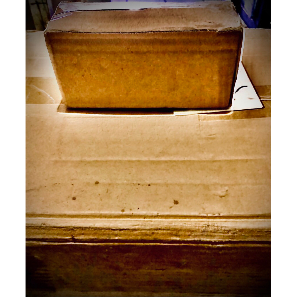 SAFE PACKAGE EXTRA BOX PACKING