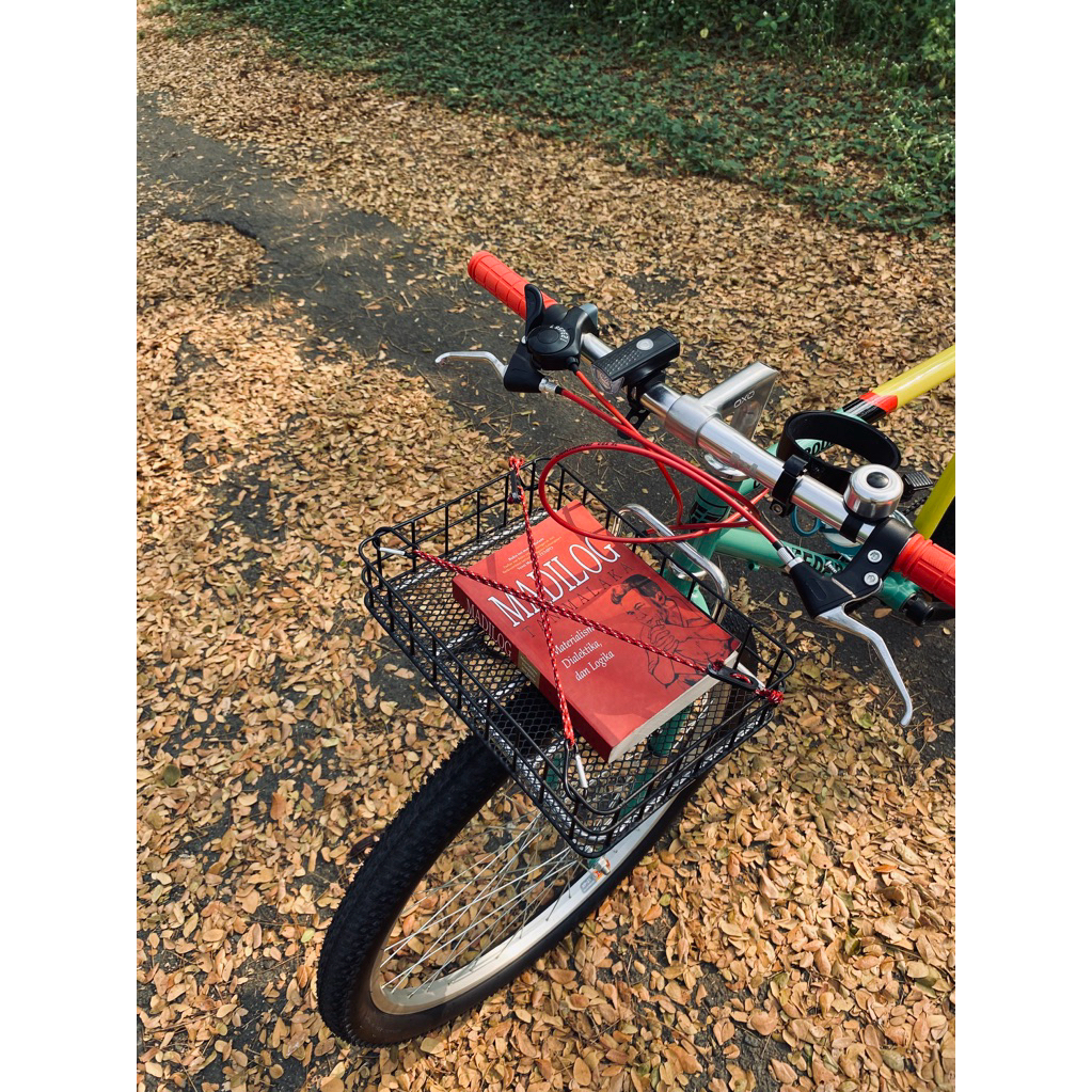 Pasopati สายรัด X แบบปรับได้ สายรัดตะกร้าจักรยาน Commuter Bike Kalcer | สายรัดจักรยาน Kalcer สีสันสดใสมัลติฟังก์ชั่น