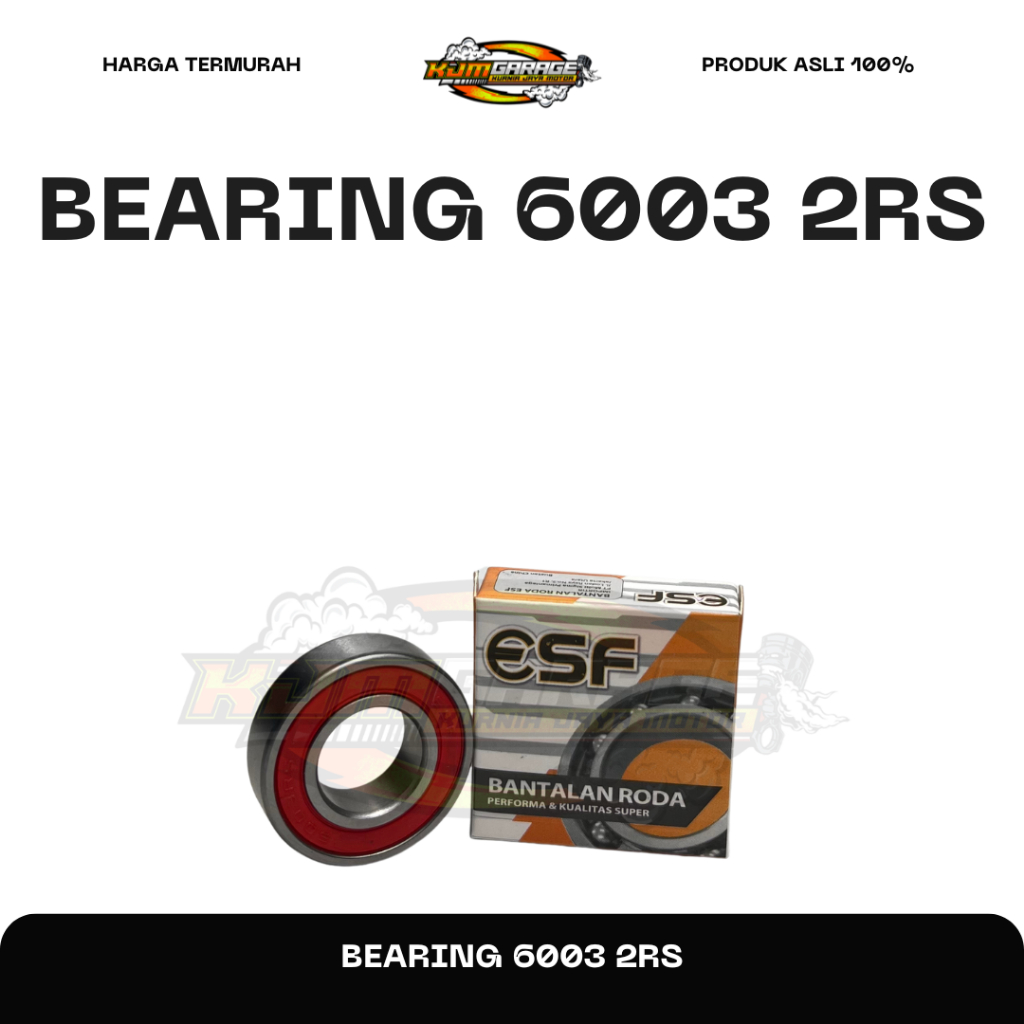 แบริ่ง 6003 2RS Universal ESF