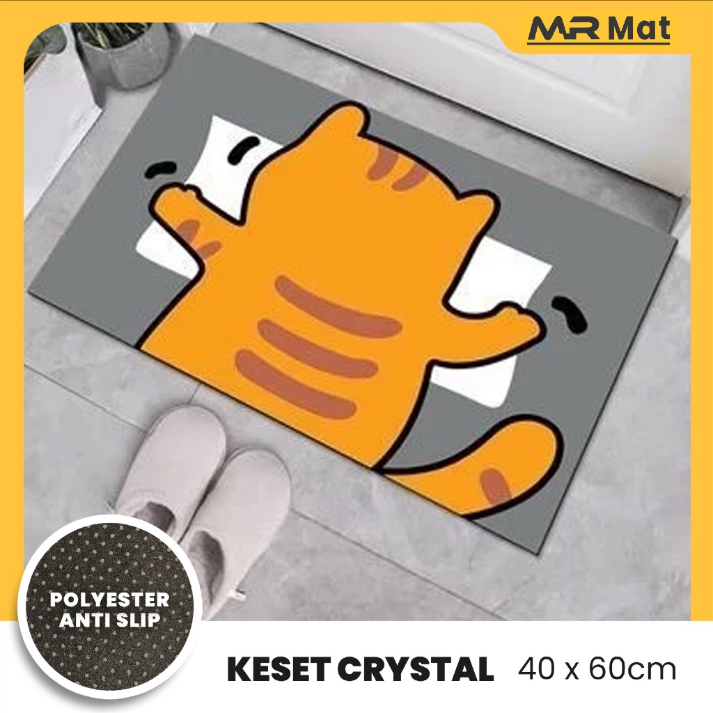 MR MAT เสื่อเท้ากันลื่น 40x60 ซม. คริสตัลกํามะหยี่พรมปูพื้นกํามะหยี่กํามะหยี่เสื่อห้องน้ํา