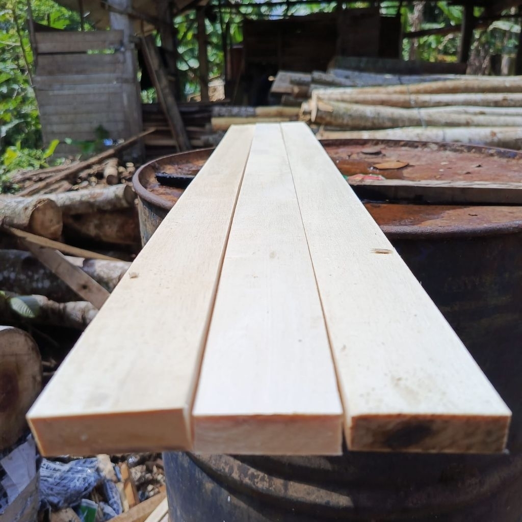 THIN RENG WOOD LIST 2X5CM LENGTH 100CM SOLID