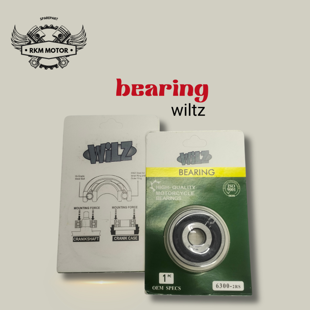 BEARING 6300 - 2RS - BEARING LAHER 6300 (นาที 10)
