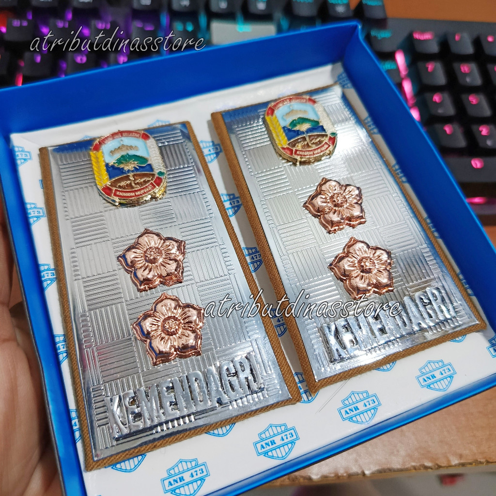 LAST SOUTH LAMPUNG REGENCY LURAH KADES PDH RANK