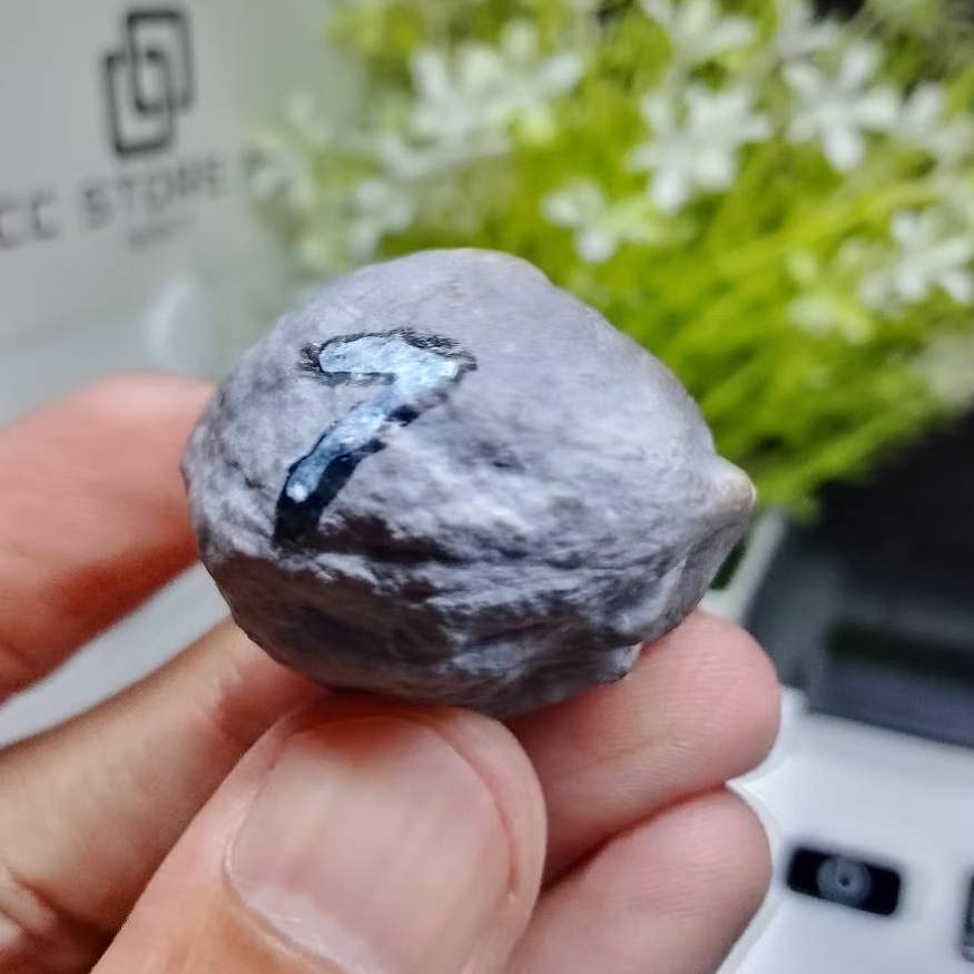 YANTI SAVAGE Adu Muncang รหัส 7