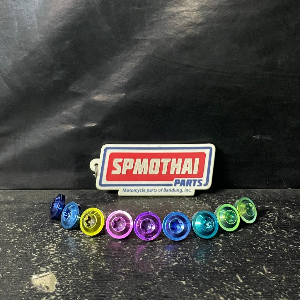 M6 BOLT / 10X10 TITANIUM BIGHEAD THREAD