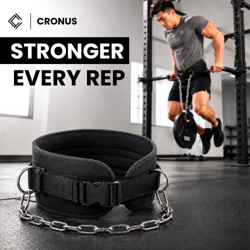 CRONUS Premium Dip Belt Pull Up Belt Pull Up Belt Dips Gym Fitness Weightlifting
