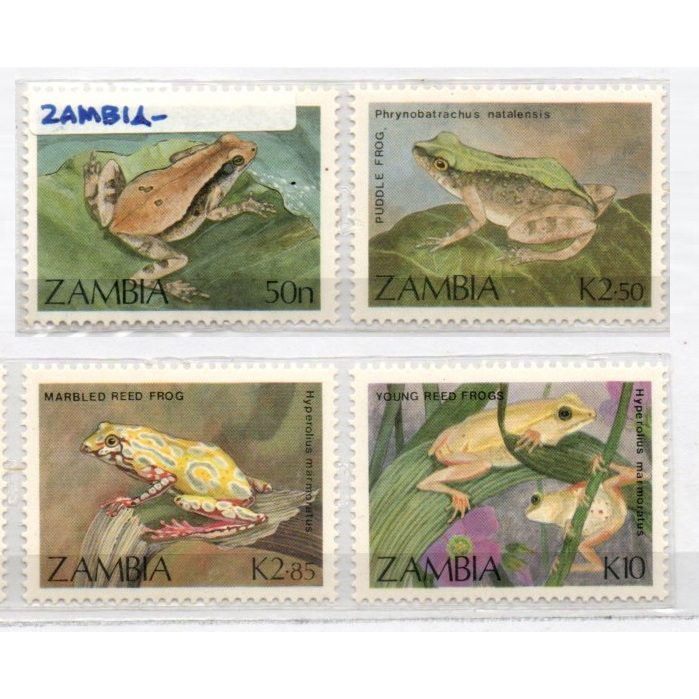 แสตมป์ธีม Fauna Frog 107 Zambia