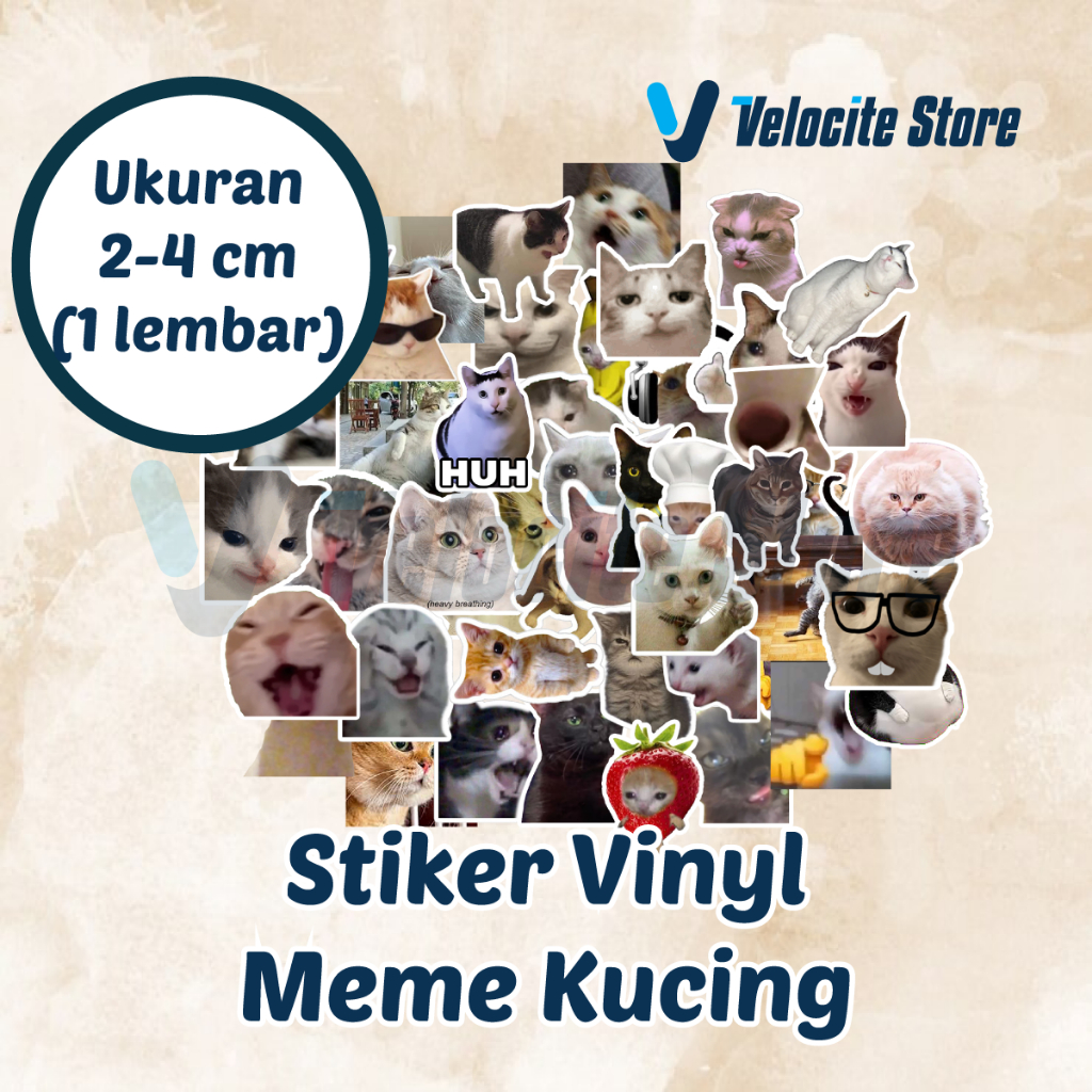 สติ๊กเกอร์ไวนิล Cat Meme ขนาด 2-4 ซม. (1 แผ่น)