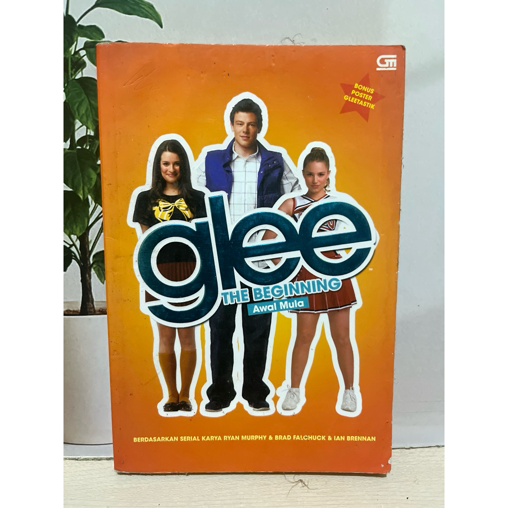 Glee The Beginning**