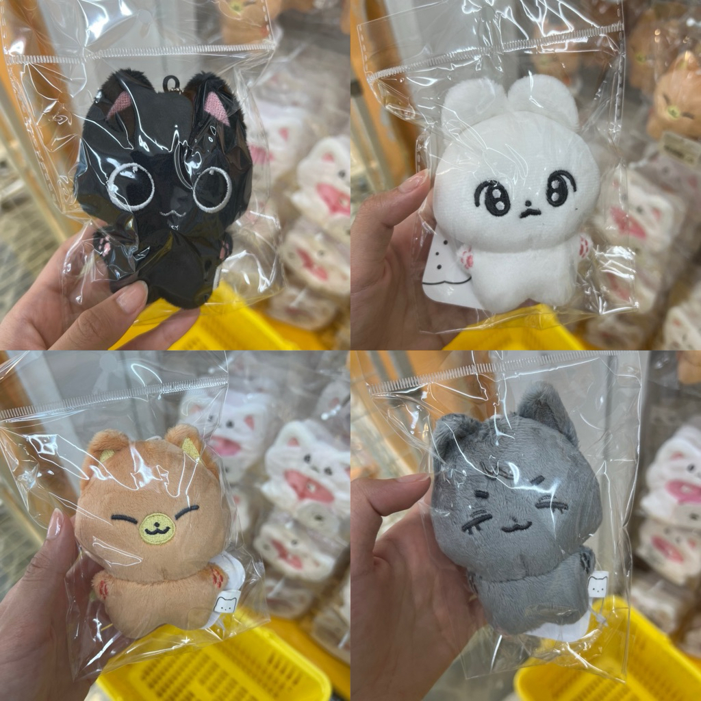 Ducky world doll ตุ๊กตา kpop น่ารักเกาหลี