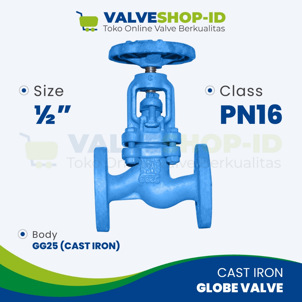 Globe Valve DN15 1/2" นิ้ว PN16 เหล็กหล่อ