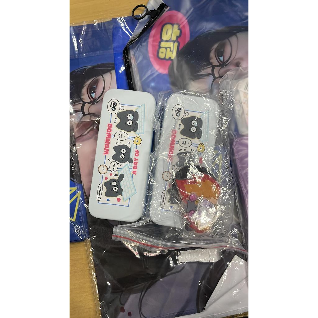 MERCH WONWOO SOLGAN PASSPORT HOLDER USB WONWOO