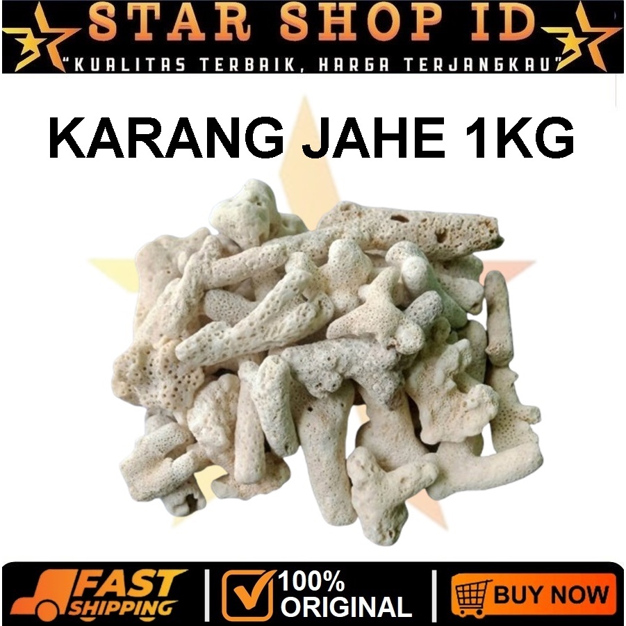 ขิงปะการัง 1 กก. koi Fish Pond Filter Media / Ginger Coral Media Aquarium กรองแบคทีเรีย House Aquari