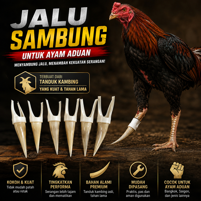 FIGHTING COCK SPURS สําหรับเชื่อมต่อใน FIGHTING COCK LEGS - BANGKOK CHICKEN SPURS