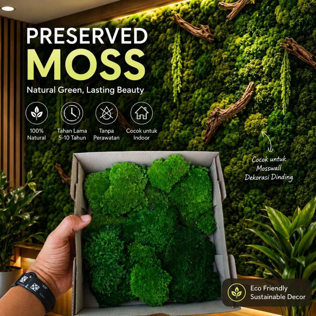 PRESERVED MOSS / MOSSWALL / ROOM DECORATION