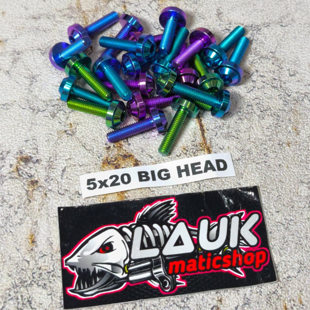 M5X20 BIGHEAD TITANIUM BOLT 8 THREAD 2CM LENGTH 8 THREAD TITANIUM BOLT