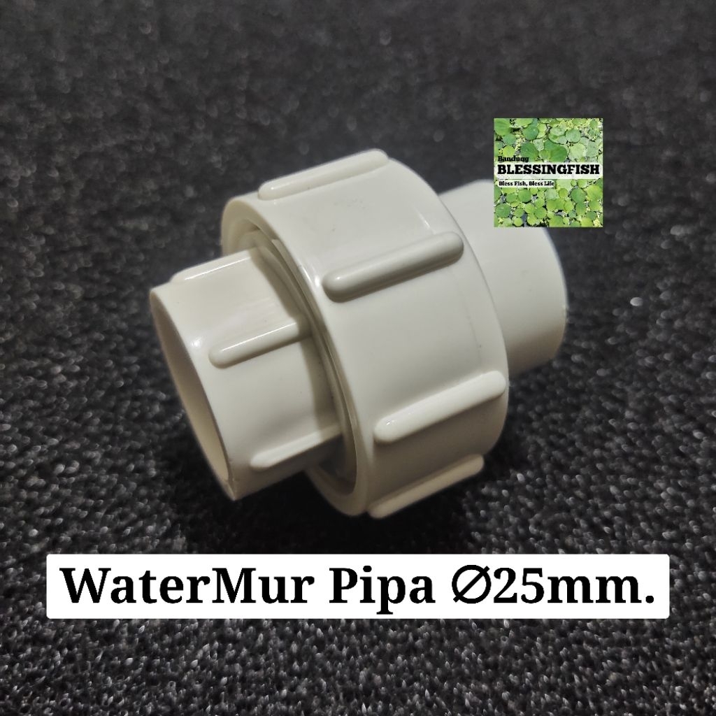 Watermur 25mm Water Nut Aquarium 25mm Watermur ท่อ 25mm Water Nut 25mm Aquarium ท่อ