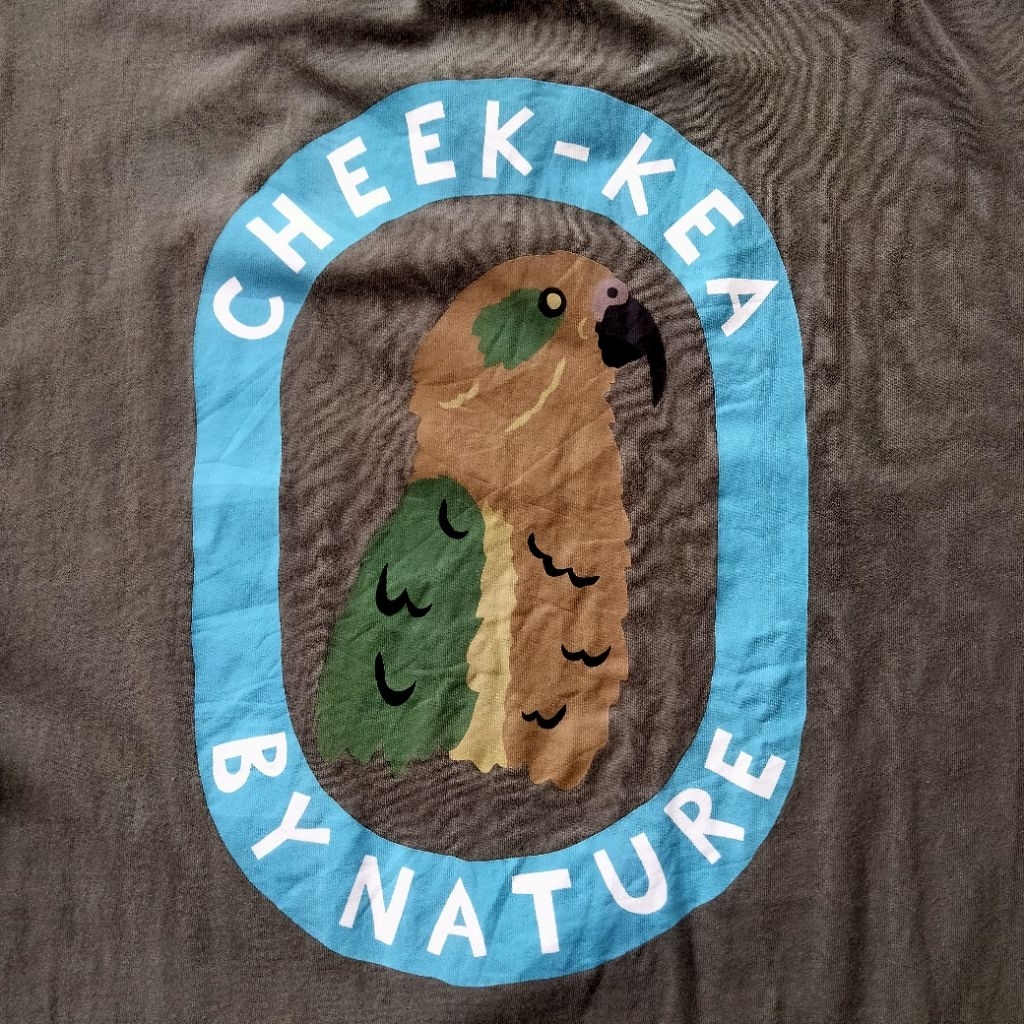 เสื้อยืด kathm4ndu**