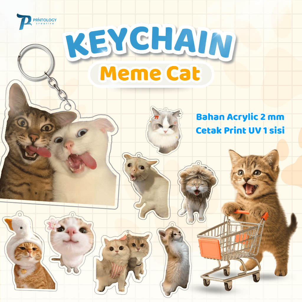 GANTUNGAN พวงกุญแจอะคริลิค Meme แมวพวงกุญแจแมว Meme กระเป๋าอะคริลิคอุปกรณ์เสริมพวงกุญแจแมวน่ารัก Mem