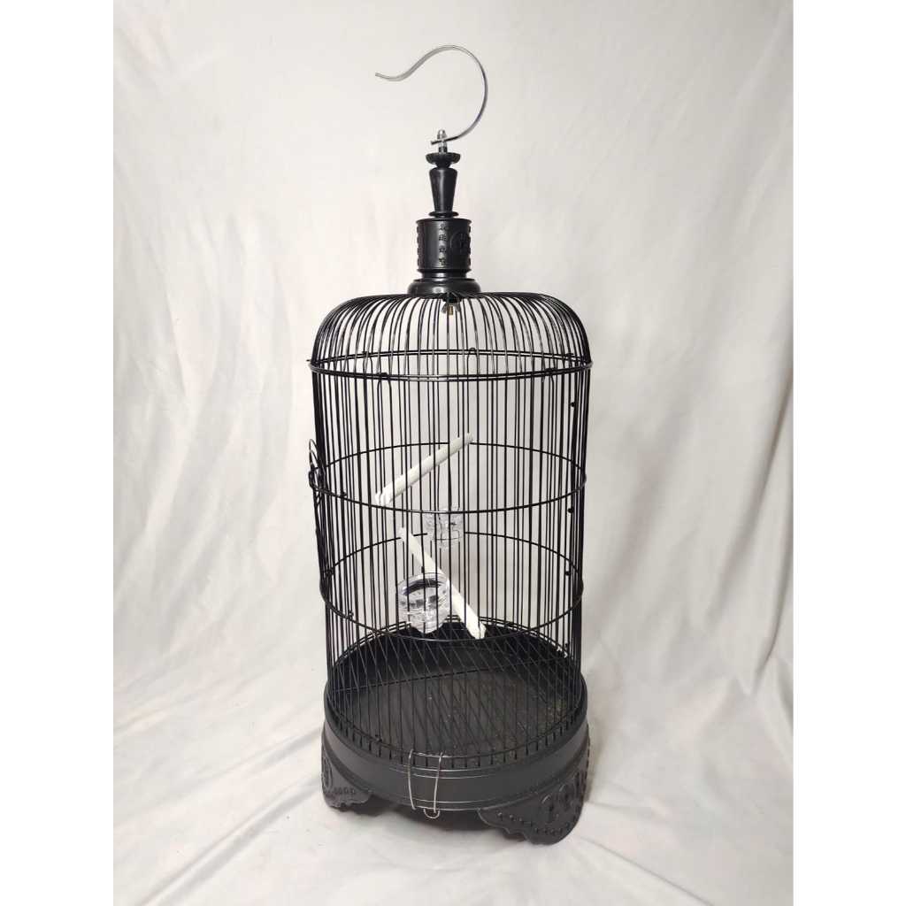 Bonus Original นําเข้า Dragon Pleci Helopet Sogon Cage พรมและฝาครอบ