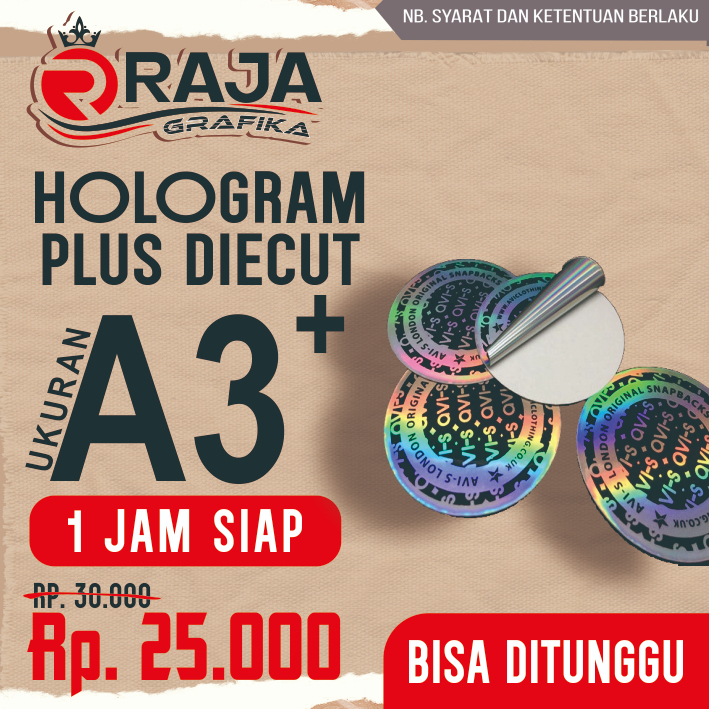 HOLOGRAM PLUS DICUT STICKERS