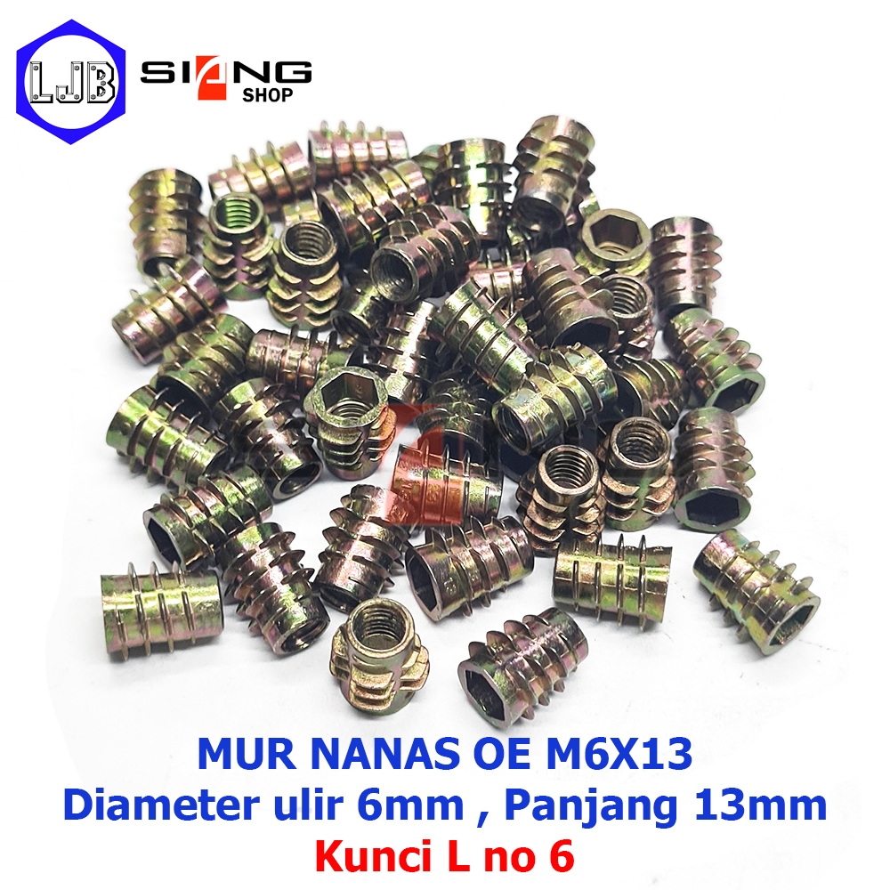 OE ถั่วสับปะรด M6x13 และ M6x20 (ถั่วเฟอร์นิเจอร์, น็อตปลูก)