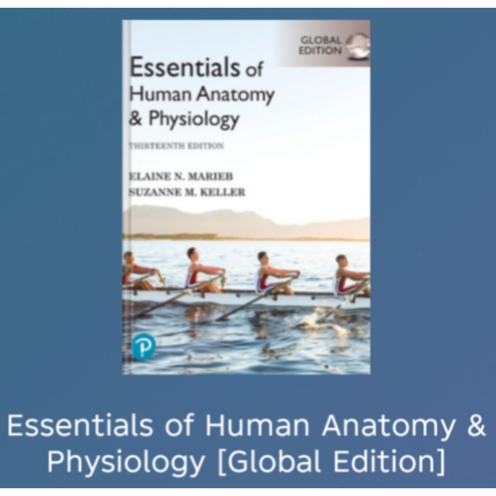 BOOK Essentials of Human Anatomy & Physiology [Global Edition]