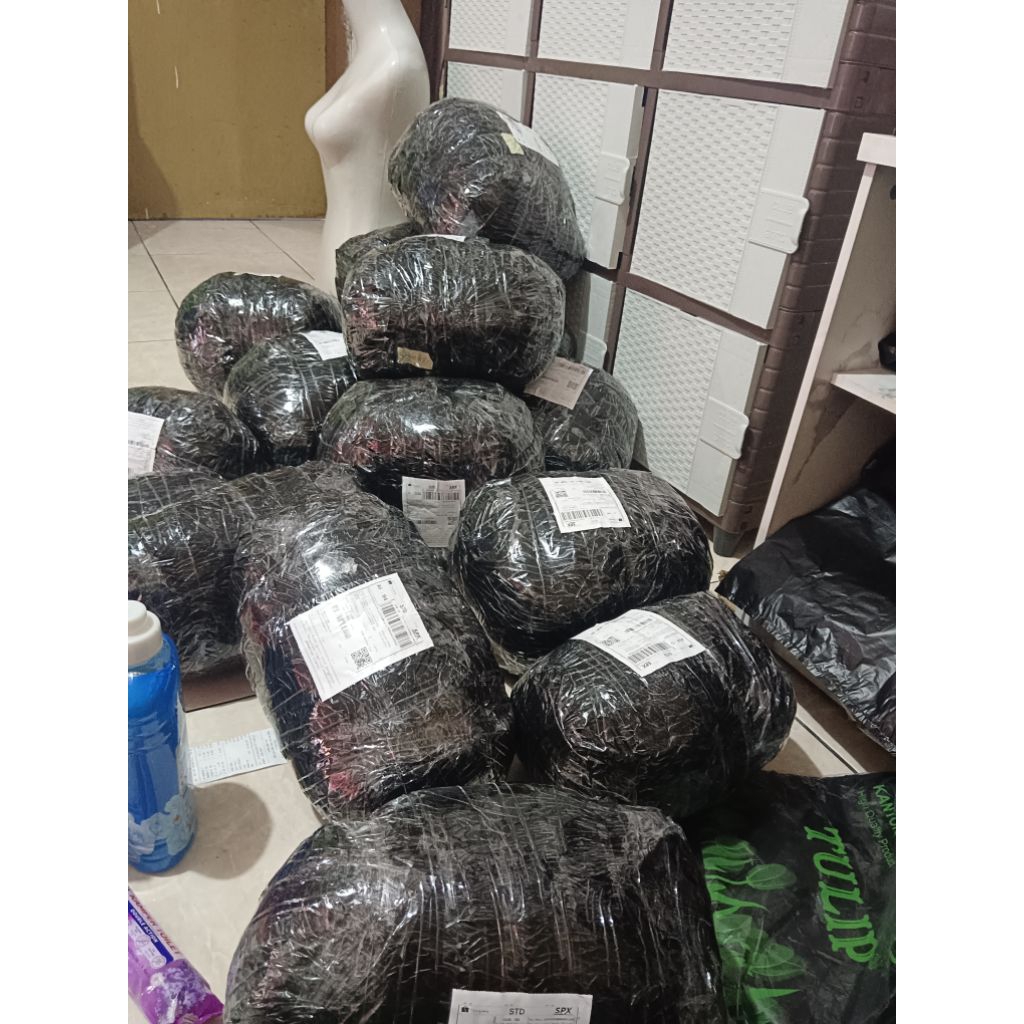 LINK CO 21 +ADMIN 5K