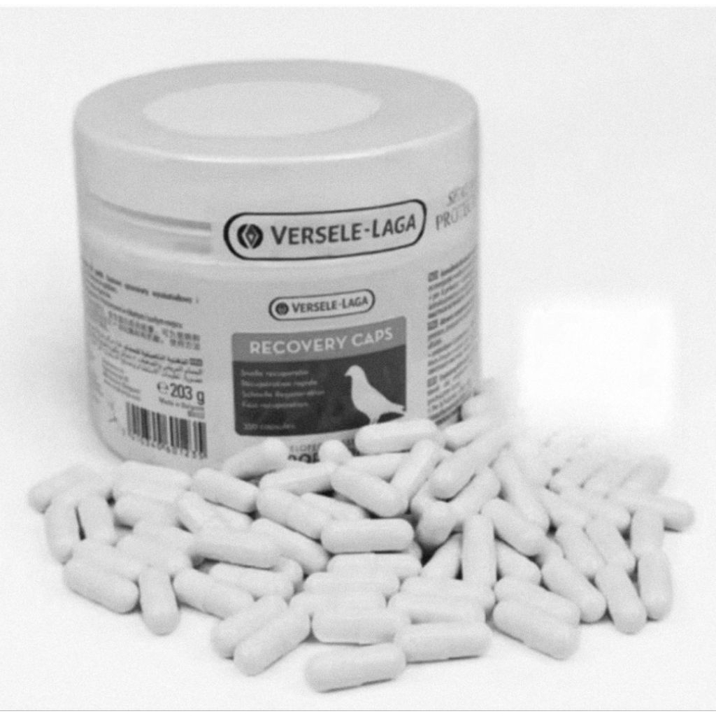 หมวกการกู้คืน VERSELE LAGA RACING PIGEON NUTRITION MUSCLE PILL JAMU VERSELE LAGA นําเข้า