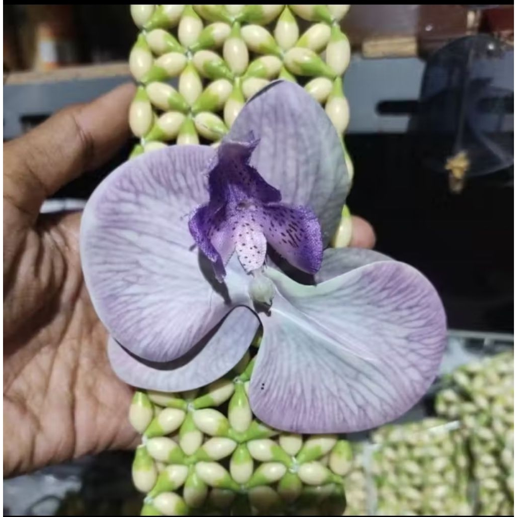 5 ORCHIDS สําหรับ BONUS เท่านั้น