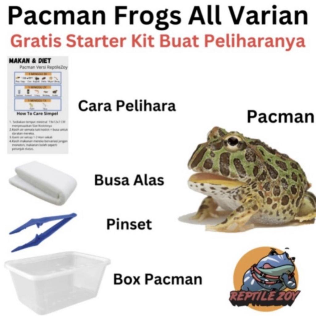Pacman Frog All Variants, ชุดเริ่มต้นสําหรับสัตว์เลี้ยง, ฐานโฟม, แหนบ, กล่อง Pacman