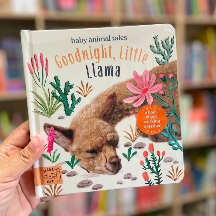 Magic Cat - Goodnight Little Llama