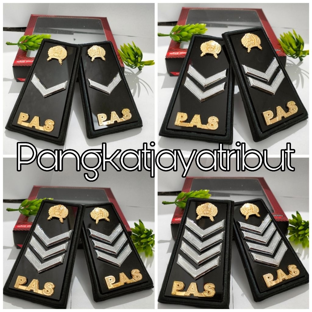 LATEST PAS PDH RANK CLASS 2A 2B 2C 2D ฐานสีดํา MICA BACKGROUND