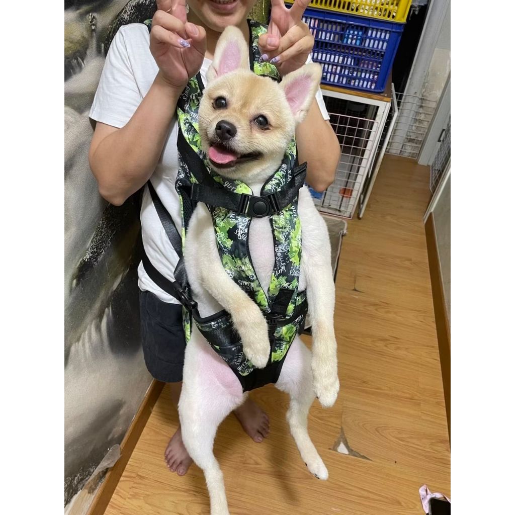 PREMIUM PET CARRIER BACKPACK / PREMIUM DOG CARRIER BAG / CARRIER BAG