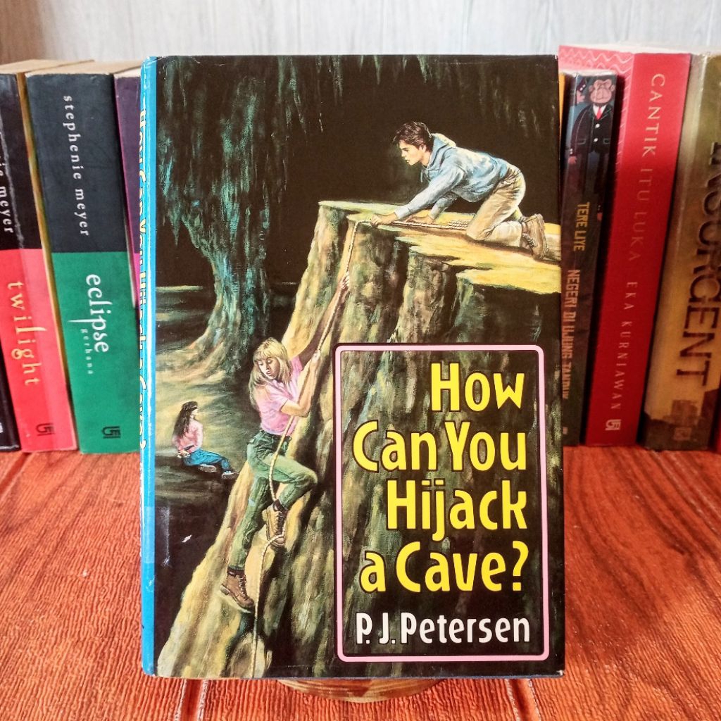 How Can You Hijack a Cave P. เจ. Petersen นวนิยายวัยรุ่นนําเข้าดั้งเดิม