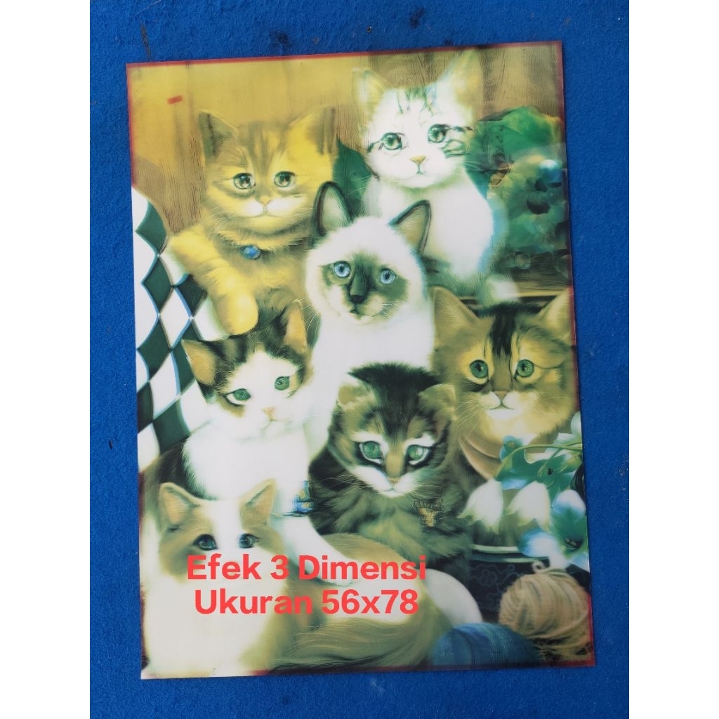 โปสเตอร์แมวครอบครัวจัมโบ้น่ารักขนาดใหญ่ 56x78 3D Effect 3D