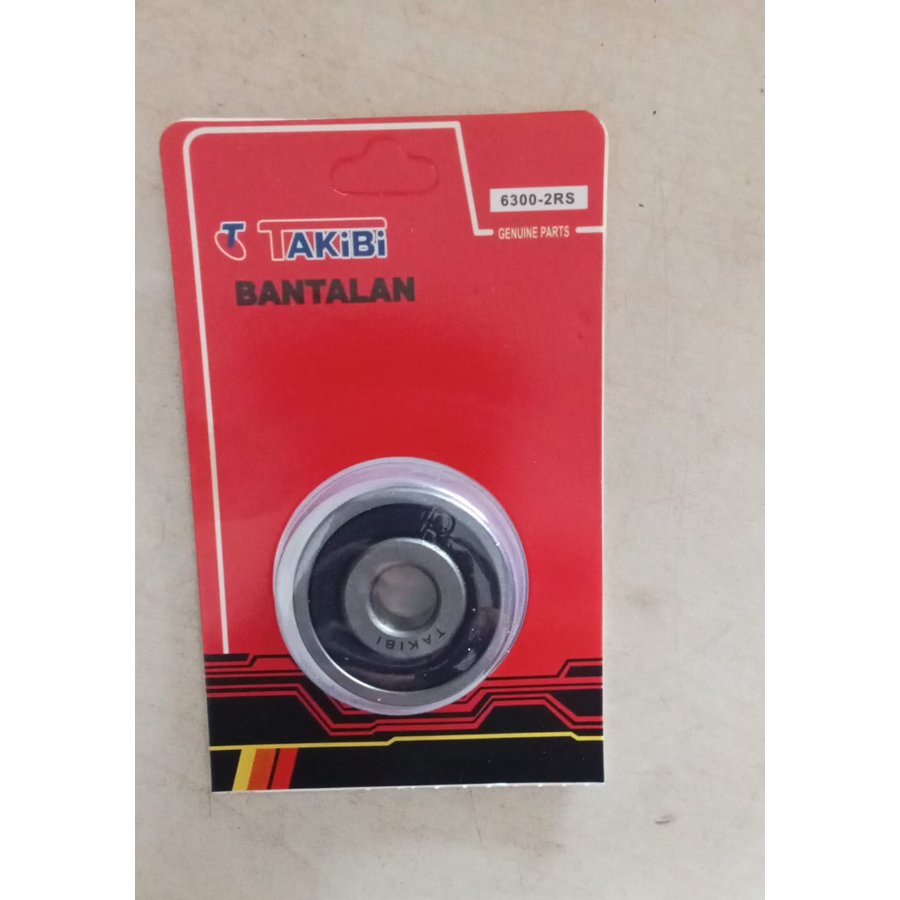 BEARING 6300-2RS BEARING