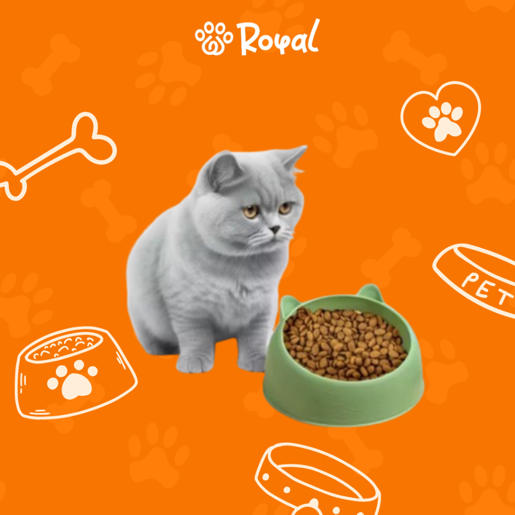 ANABUL M77 BOWL*****