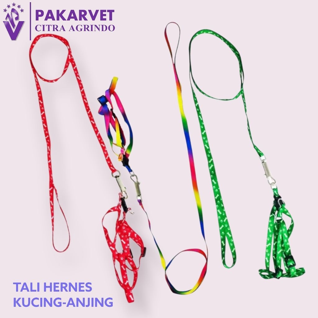 CAT-DOG HERNESS ROPE