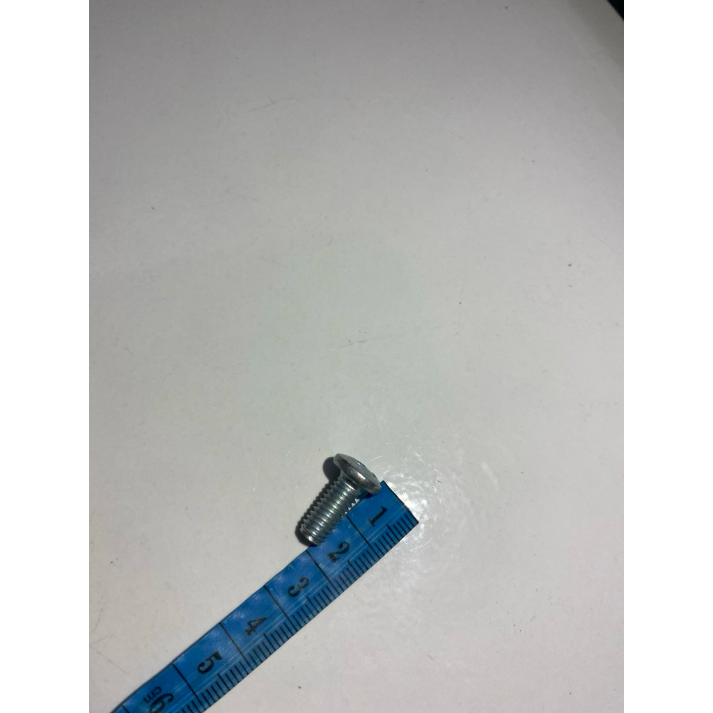 BINGANG SCREW Nut 10