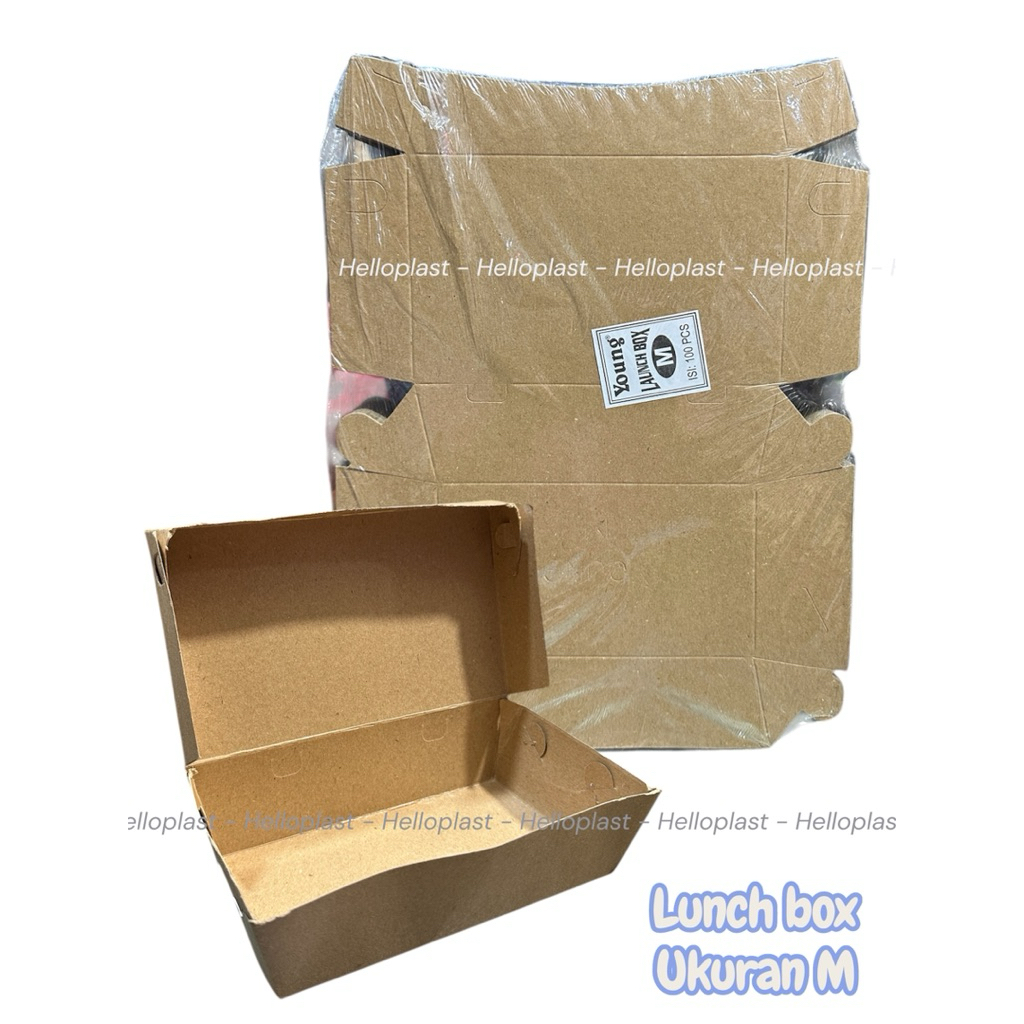 LUNCH BOX M / PAPER LUNCH BOX M