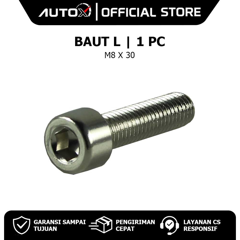 Bolt L M8 X 30 Bolt Silver Key 6 Pitch 1.25 L6 8x30 Key6