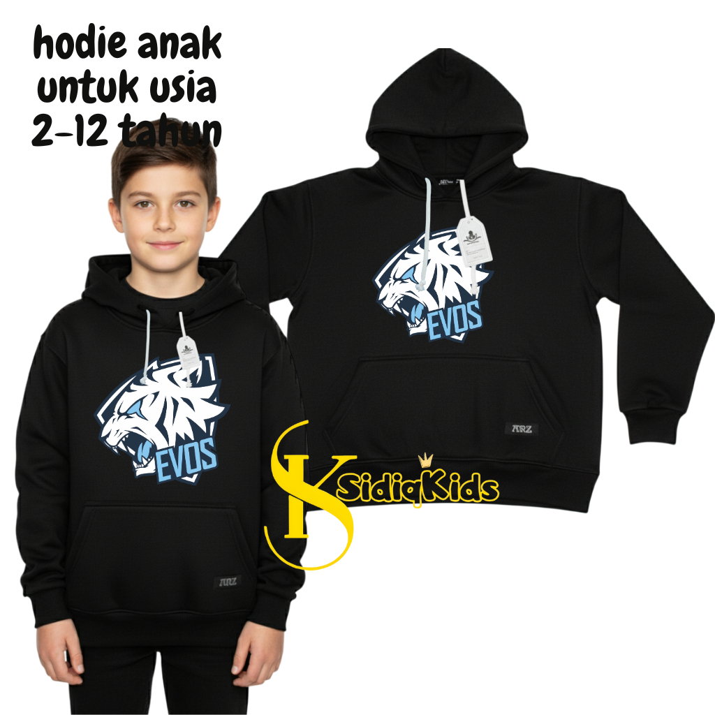 EVOS PICTURE BOYS HODIE